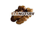Logo - Elbnuts 
